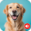 Dog Sounds: Dog Noises