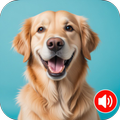 Dog Sounds: Dog Noises