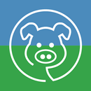 PigVision Mobile APK