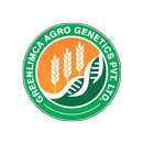 Green Limca APK
