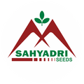 Sahyadri Seeds