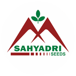 Sahyadri Seeds