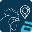 Chicken Tracking ikon