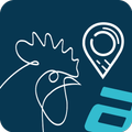 Chicken Tracking