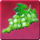 Grape Kannada APK