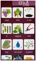 Grape poster