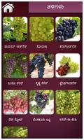 Grape screenshot 2