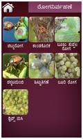 Grape screenshot 3
