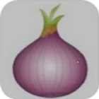 Onion icône