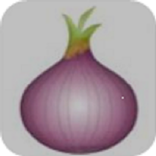 Onion Kannada