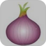 Onion icône