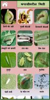 Cotton ảnh chụp màn hình 1