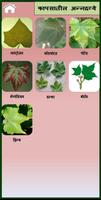 Cotton ảnh chụp màn hình 2