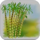 Sugarcane icône