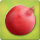 Pomegranate biểu tượng