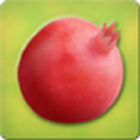 Pomegranate icono