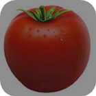 Tomato ikon