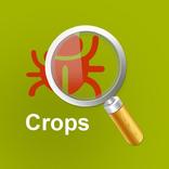 MyPestGuide Crops