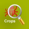 MyPestGuide Crops APK