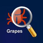 MyPestGuide Grapes icône