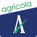 Alto Alegre - Agrícola
