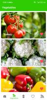 Home Garden تصوير الشاشة 2