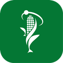 Produce V-2 APK