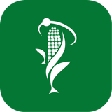Produce icon
