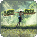Agriculture Wallpaper aplikacja