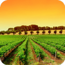 Agriculture HD Wallpaper APK