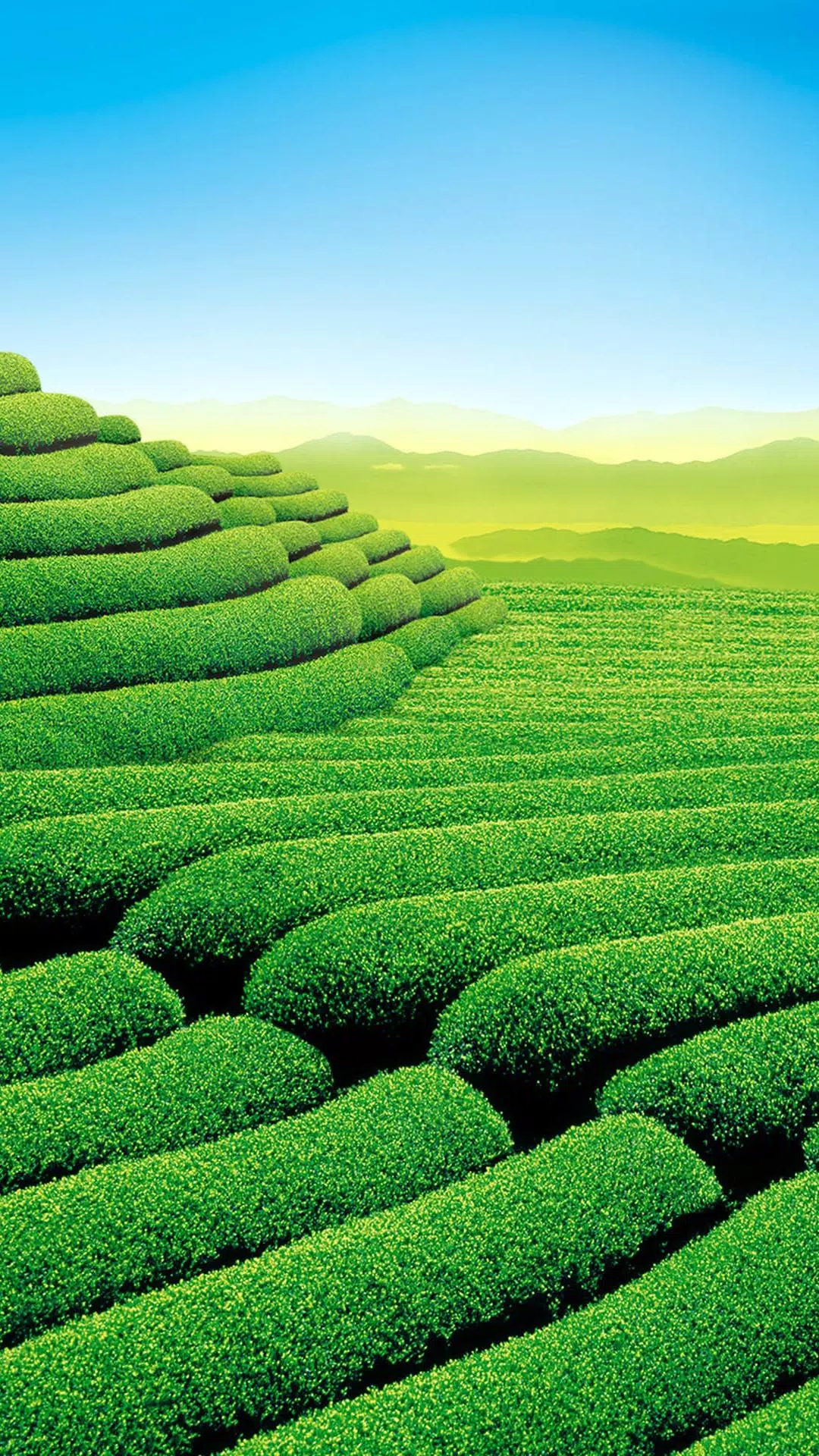 Tải xuống APK Agriculture HD Wallpaper cho Android Tải xuống APK Agriculture HD Wallpaper cho Android