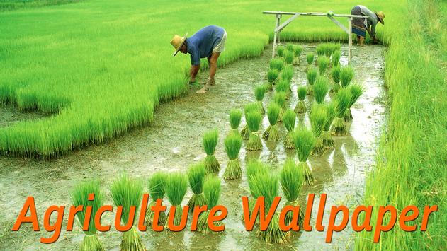 Agriculture Wallpaper HD poster