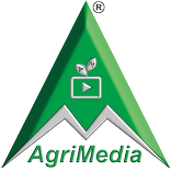 AgriMedia : Hi Tech Village