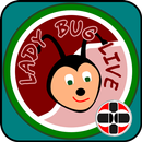 Lady Bug live APK