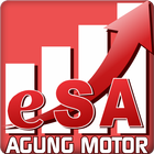 ESA AGUNGMOTOR icon