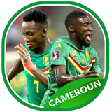 Cameroon football team icon