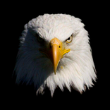 Águias Delivery Entregador