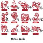 Your Chinese Zodiac-icoon