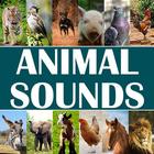 Animal Sounds আইকন
