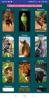 Animal Sounds স্ক্রিনশট 1