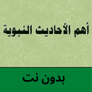 اهم الاحاديث النبوية بدون نت APK
