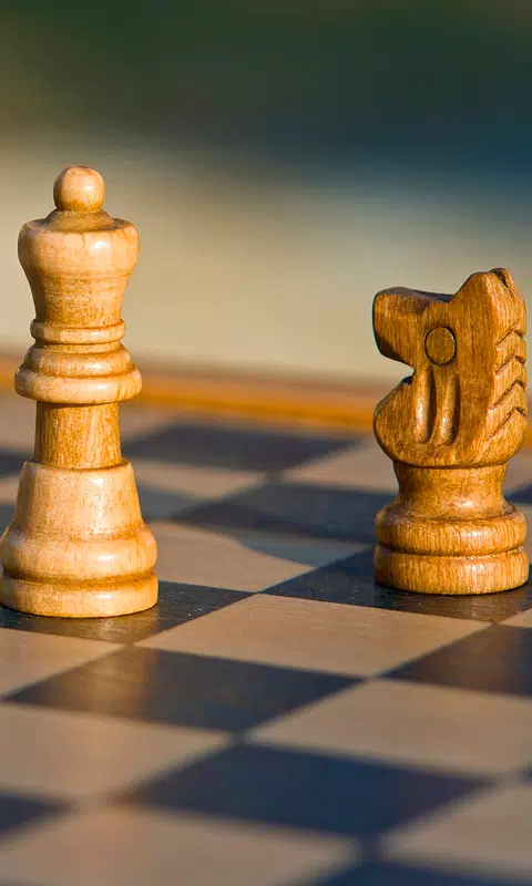 Chess HD para Android baixar grátis. O papel de parede animado Xadrez HD de  Android.