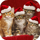 Christmas Wallpapers HD (backgrounds & themes) APK