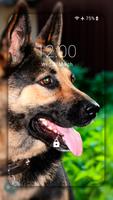 German Shepherd Wallpapers 스크린샷 1