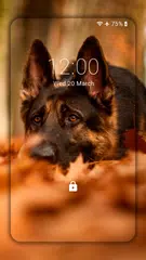 German Shepherd Wallpapers  (backgrounds & themes) APK 下載