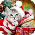 Новый Год Обои HD (фоны, темы, картинки)