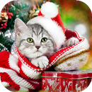 APK New Year HD (backgrounds & themes)