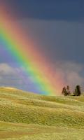 Rainbow Wallpapers Ekran Görüntüsü 3