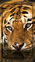 Tigre Wallpapers HD (fundos e temas) Cartaz