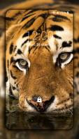 Tiger Wallpapers पोस्टर